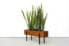 06207394a7557f929cc5ab4318961128