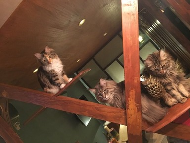 繝輔ぃ繧､繝ｫ_002