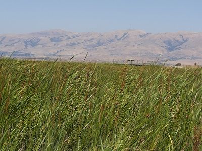 サンフランシスコ