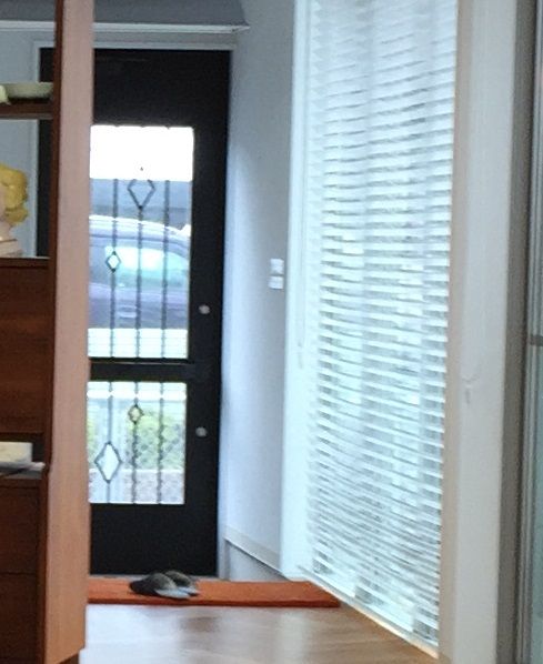 IMG_8899 - コピー