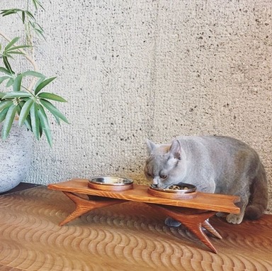 e5a73f531d8723c1da055148b0869651[1]