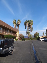 DSC0633<br />
1″ hspace=”5″ class=”pict” align=”left”  /></a></p>
<p>ひさしぶりカリフォルニアサンを拝めました。気分があがります！！</p>
<p><a href=