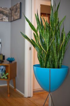 4b616722098b0ddcb259a9ca292f91b5