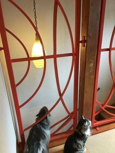 繝輔ぃ繧､繝ｫ_005(1)