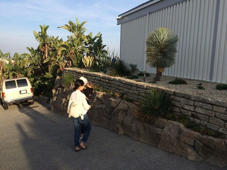 IMG_1347 - コピー